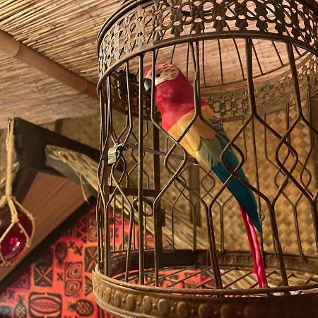 The Kondo Tiki Тампа Екстер'єр фото